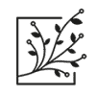 Kwiaciarnia Kamiflora