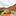 Red Rock Sanctuary