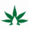 Cannabis Shop KANNASTAR ®