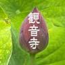 Kannonji