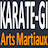 Karate-Gi