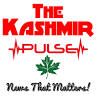 The Kashmir Pulse