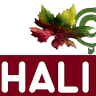 Çınar Halı Yıkama Kastamonu
