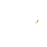 Kate's Puppies
