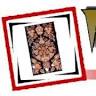 Kazempour Oriental Rugs