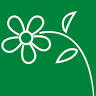 Kelly-Flors