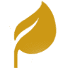 Kerala Spices Centre