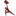 Keystone Orthopedic Physical