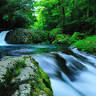 Kikuchi Gorge