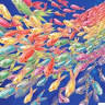 Sea Silks Gallery
