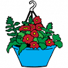 Kim's Greenhouse