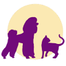 Kingen Veterinary Clinic