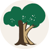 Klimek Tree Service
