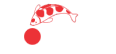 Koilover TP.HCM - Trại Cá Koi Nhật