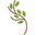 Korkii