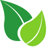 Kratom Rozvoz