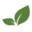 Kratom Trading Co