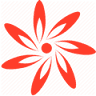 Nerine - kvety Trenčín
