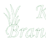 Kwekerij Brandenburg