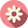 Charming Corner Florist