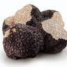 La Bottega del Tartufo