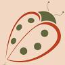 Ladybug Child Care Center Inc