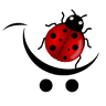 LadyBugs.live