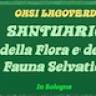 Oasi Lagoverde - 
