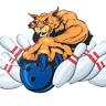 Lakeview Alley Cat Bar & Grill LLC