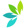 Lakewood Natural Medicine and Chiropractic