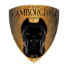 Lamborghini Corso Kennel