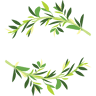Lambs & Thyme