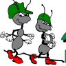 L & L Pest Control