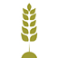 Pasta fresca Barcelona | La nostra pasta