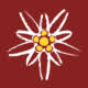 Restaurant - Apartments - Pension LANZ