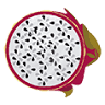 La Pitahaya Yucateca