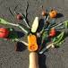 L'Arbre à Légumes