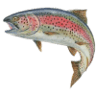 Larry's Cedar Resort
