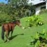 Finca las Alturas