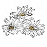Las Margaritas