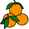 Naranjas LauLedes en Vitoria