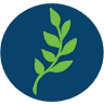 Laurel Ridge Community College Workforce Solutions