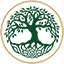 Seif & McNamee, LLC