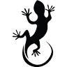Lazy Lizard Tavern & Caravan Park