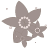 Le coeuryuzu