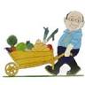 Vente de légumes et de fruits