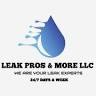 Leak Pros and More, LLC