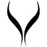 Le camere di Vittoria