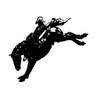 Just LeDoux It Saloon & Steak Out