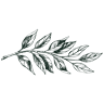 Le Garden